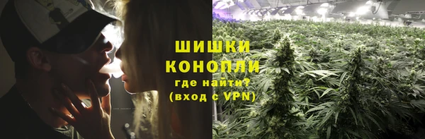 шишки Алексеевка