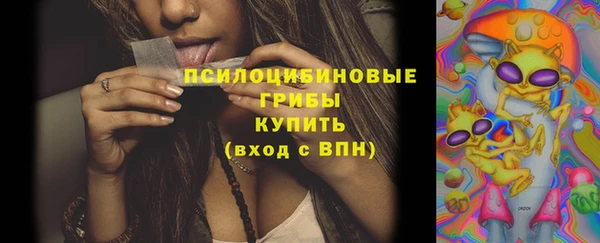 шишки Абаза