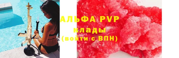 стафф Алзамай