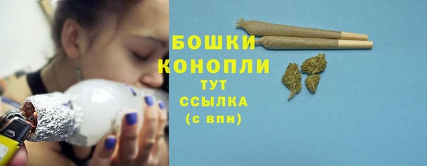 шишки Алексеевка