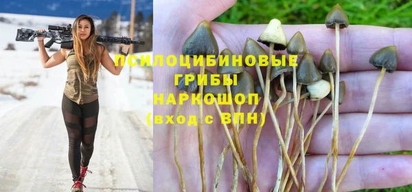 шишки Алексеевка