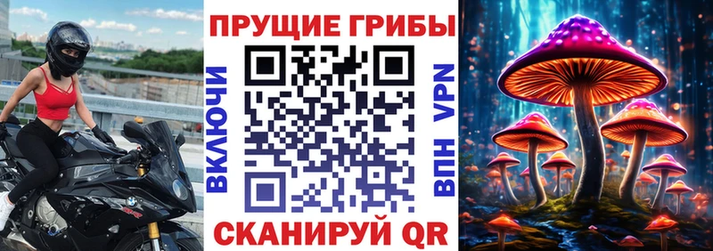 Галлюциногенные грибы Psilocybe  hydra ссылка  Балашиха 