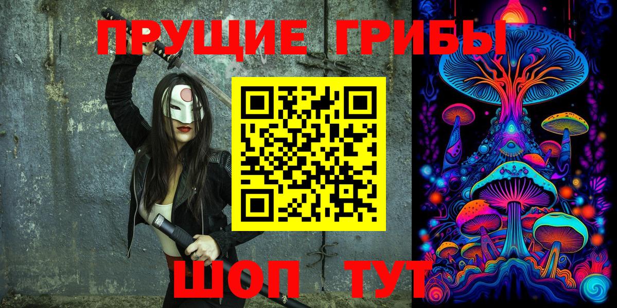 Балашиха  Галлюциногенные грибы Psilocybine cubensis  Вход с VPN 